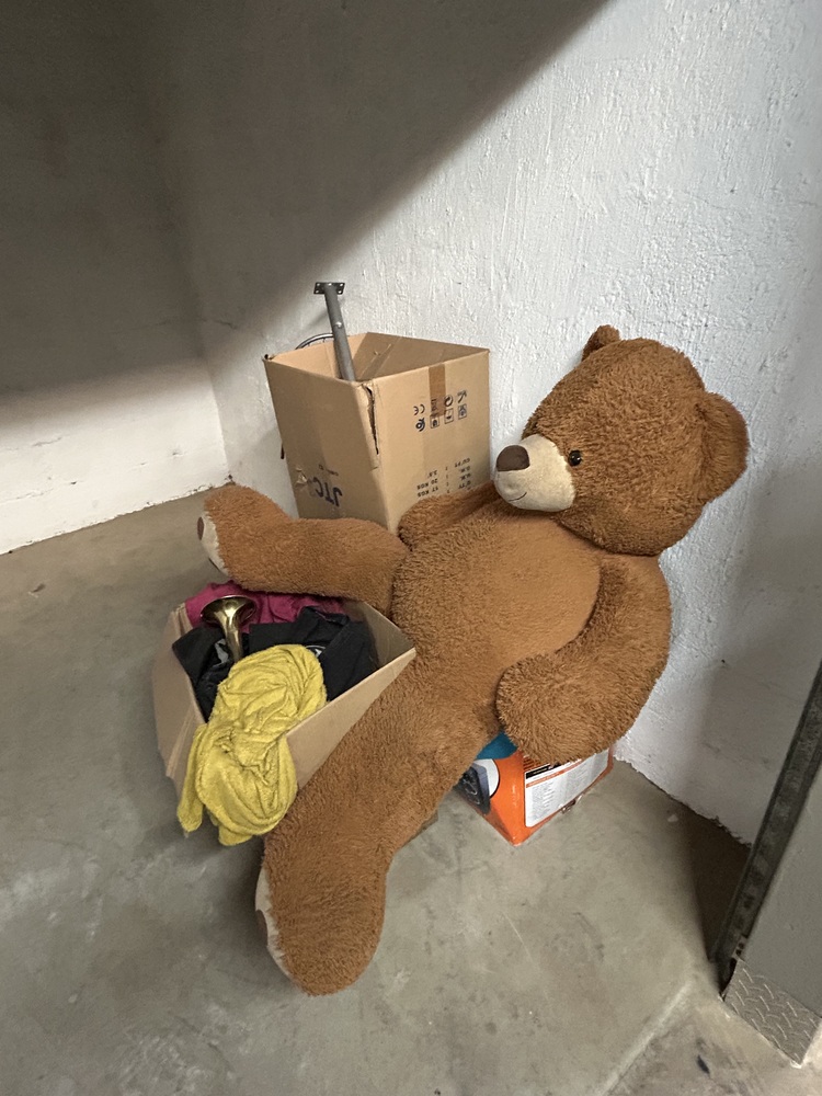 Rent-A-Store Midrand Storage Unit auction IB-1659