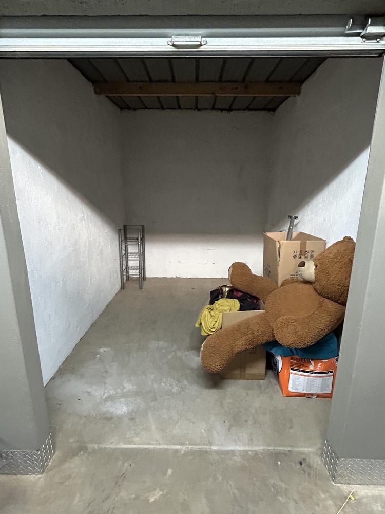 Rent-A-Store Midrand Self storage auction IB-1659