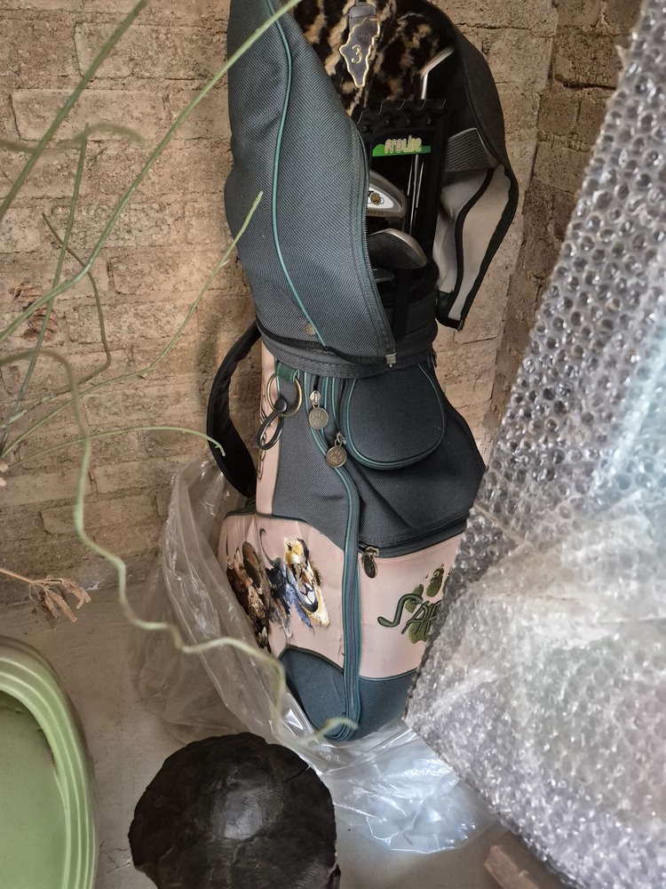 Randburg, Northriding Storage Unit auction IB-9264