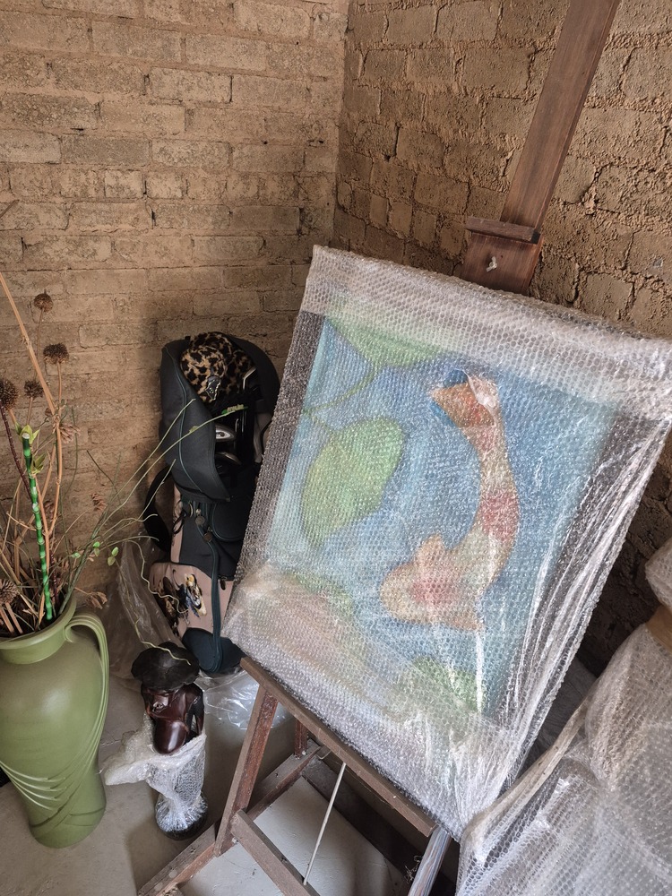 Randburg, Northriding Self storage facility auction IB-9264