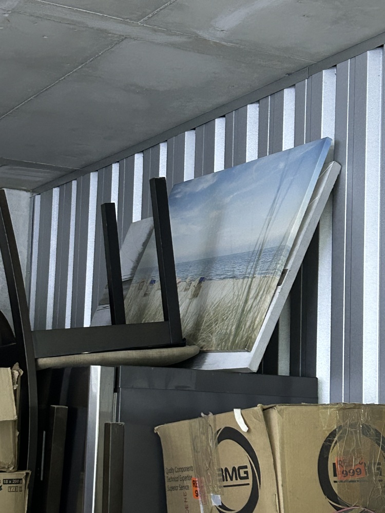 Rent-A-Store Centurion Storage auction IB-3097 30