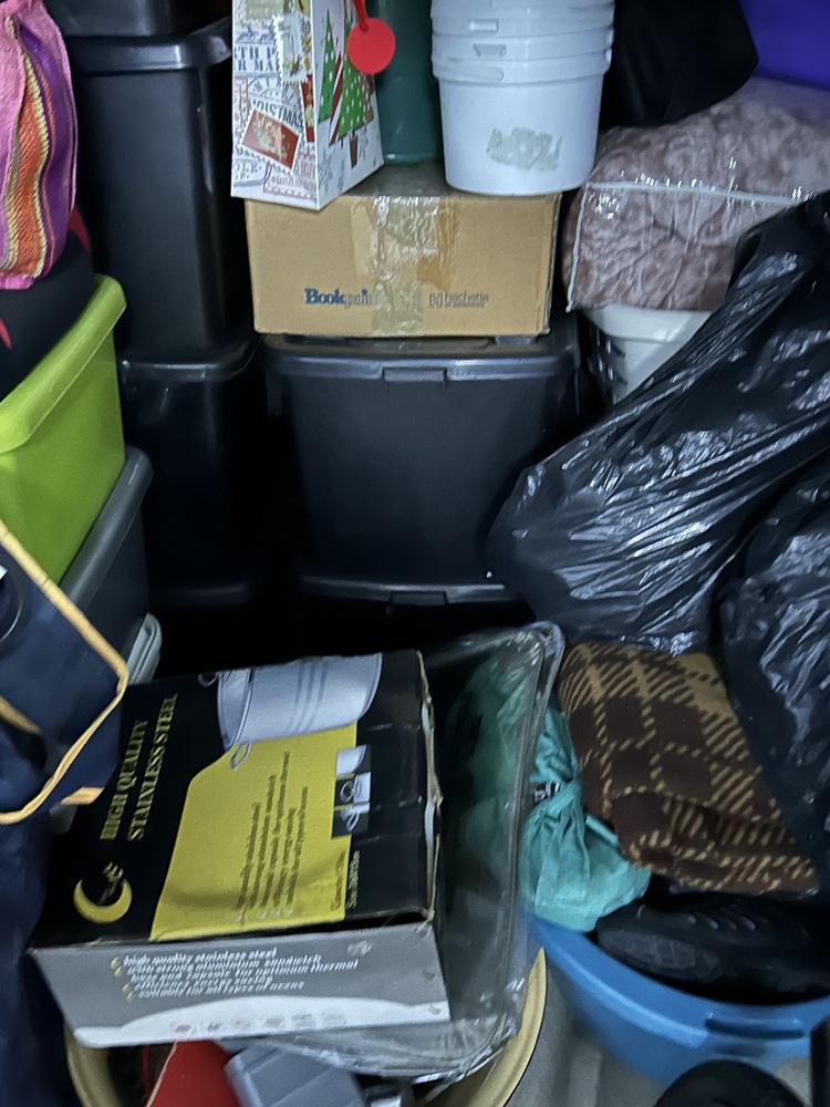 Rent-A-Store Centurion Storage auction IB-8163 10