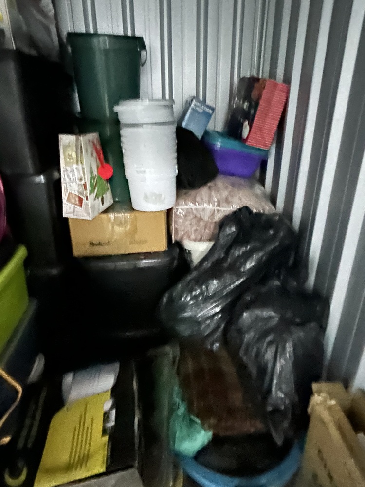 Rent-A-Store Centurion Storage Unit auction IB-8163 12