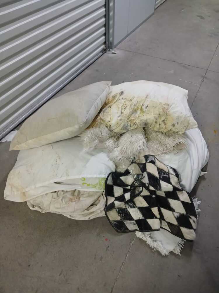 Storage Century City Storage auction IB-1991 20