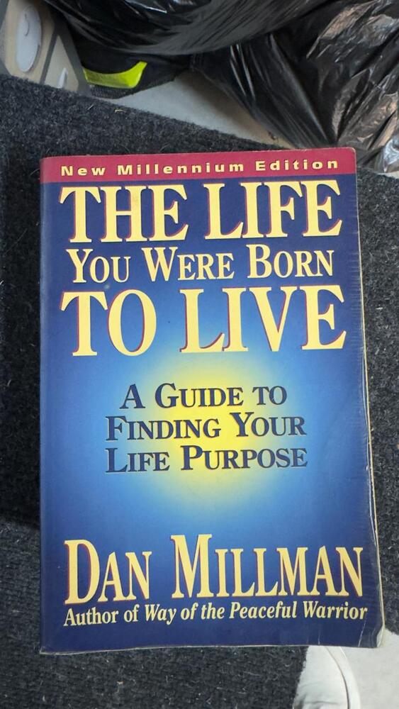 Durbanville - L041 Self storage unit auction IB-8589 33