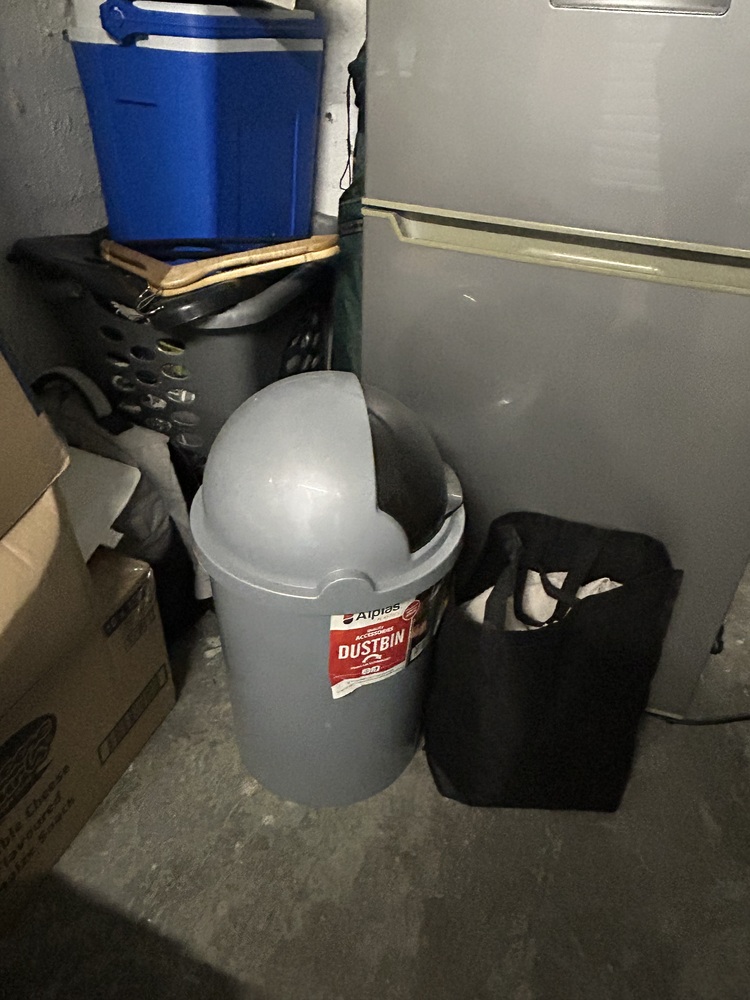 Rent A Store Sandton Storage Facility auction IB-1415