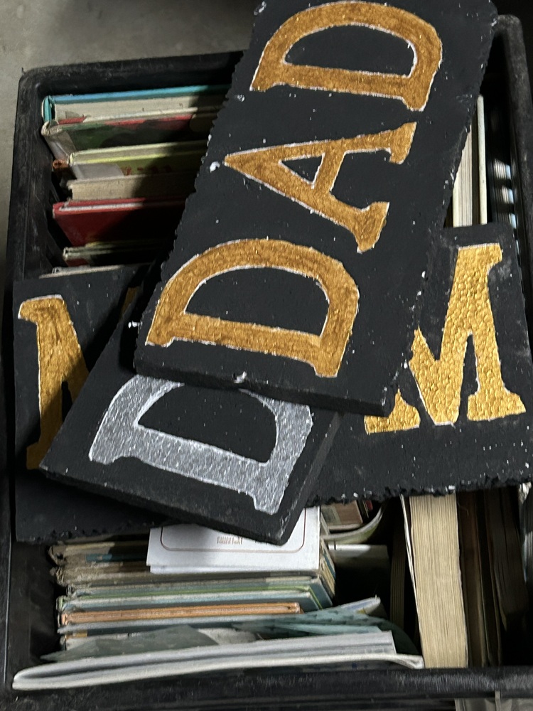 Rent A Store Sandton Self storage auction IB-3867 14