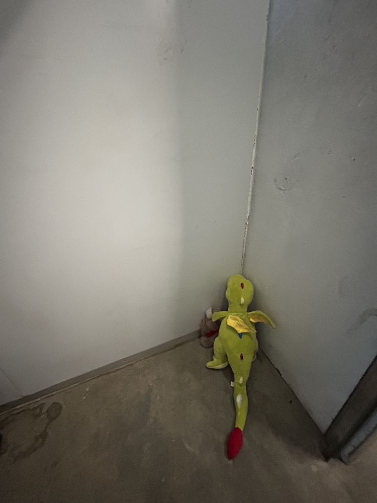 Rent A Store Sandton Storage Facility auction IB-6763 11