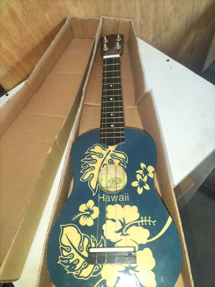 H&M removals / Simply Store CPT Self storage auction IB-1524 54