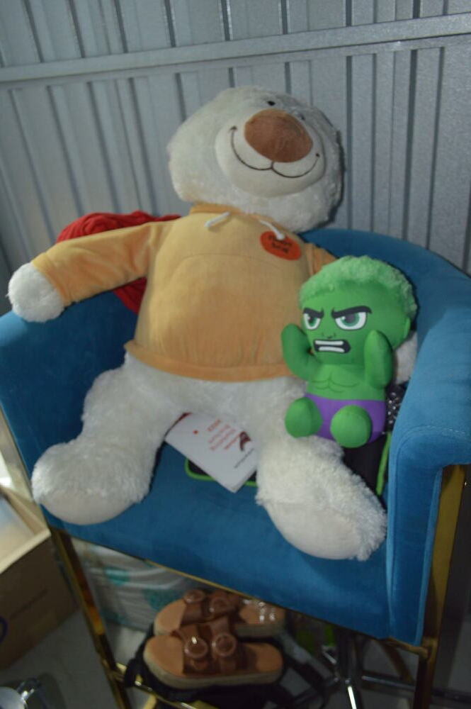 INV - Sunningdale Self storage auction IB-4555