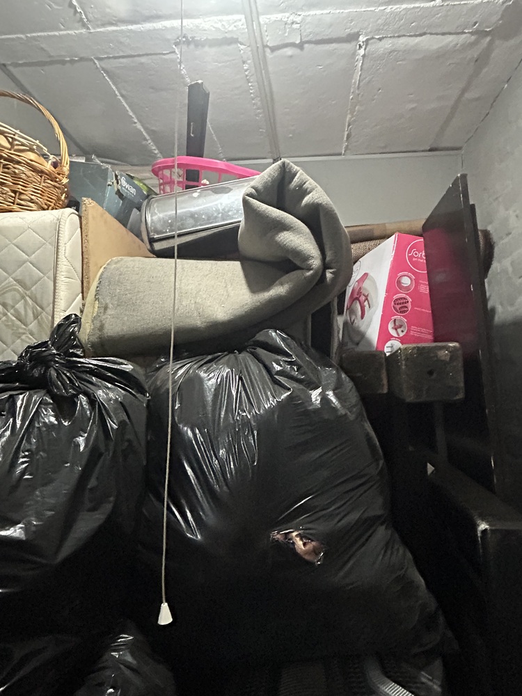 Rent-A-Store Midrand Storage auction IB-5761 20