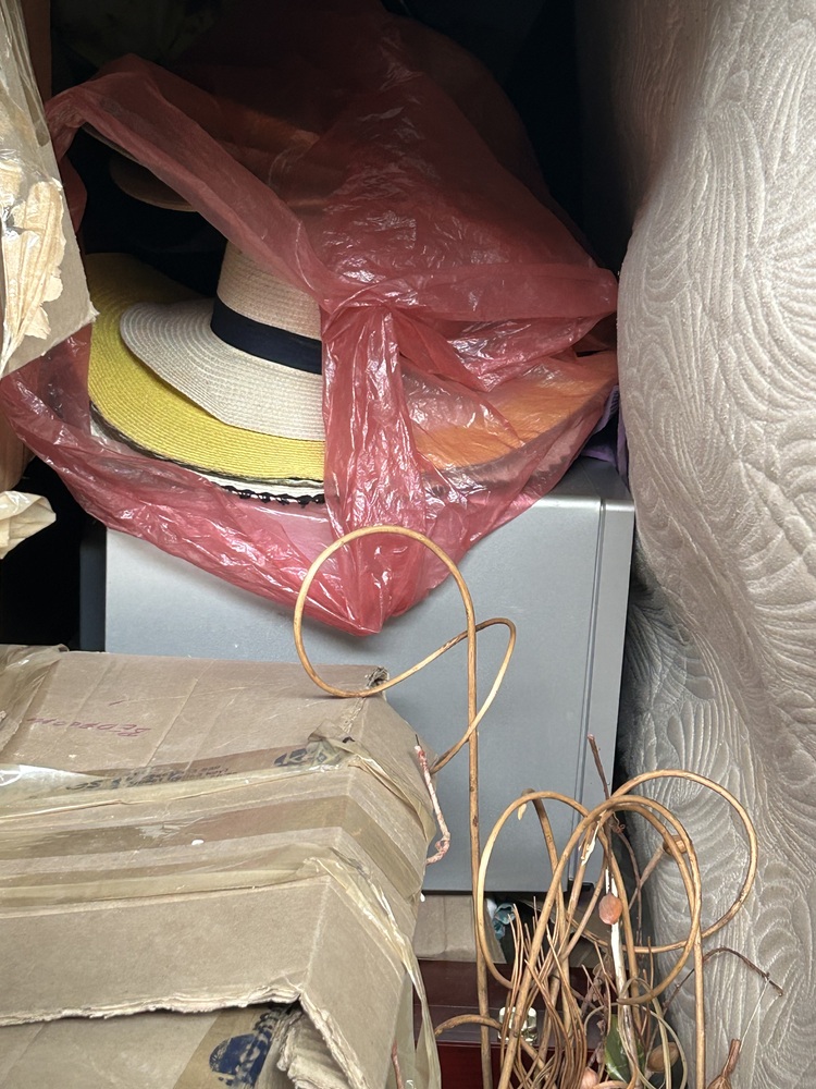 Rent-A-Store Midrand Storage auction IB-6366 10