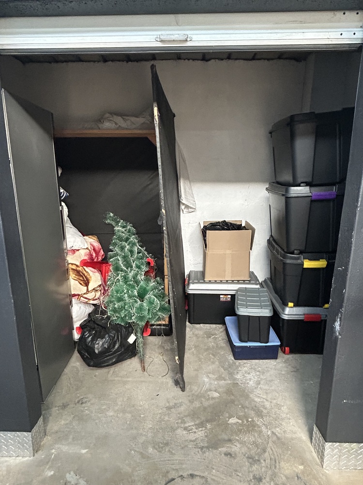 Rent-A-Store Midrand Storage auction IB-8921 10
