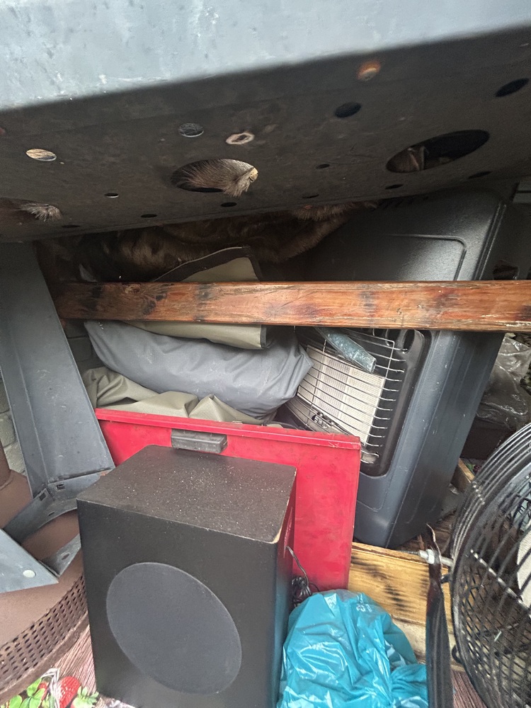 Rent-A-Store Pretoria Self storage auction IB-1691 34