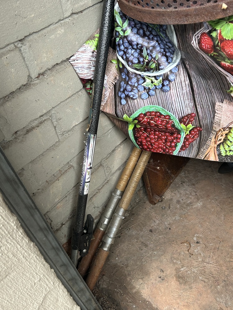 Rent-A-Store Pretoria Self storage auction IB-1691 54