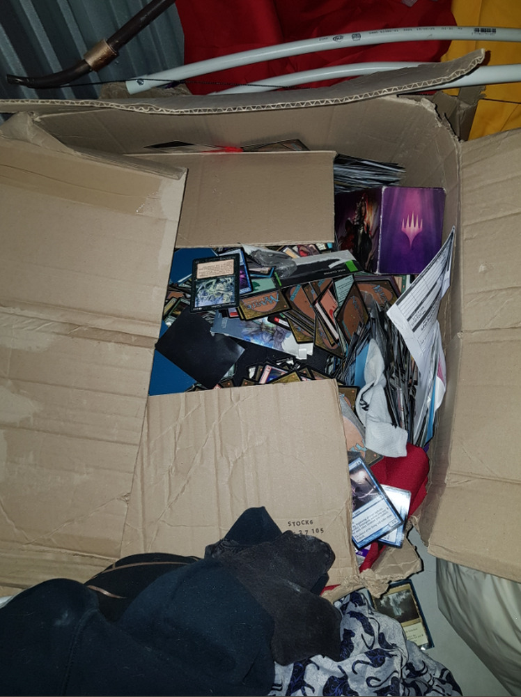 Gardens - L006 Storage Unit auction IB-8767