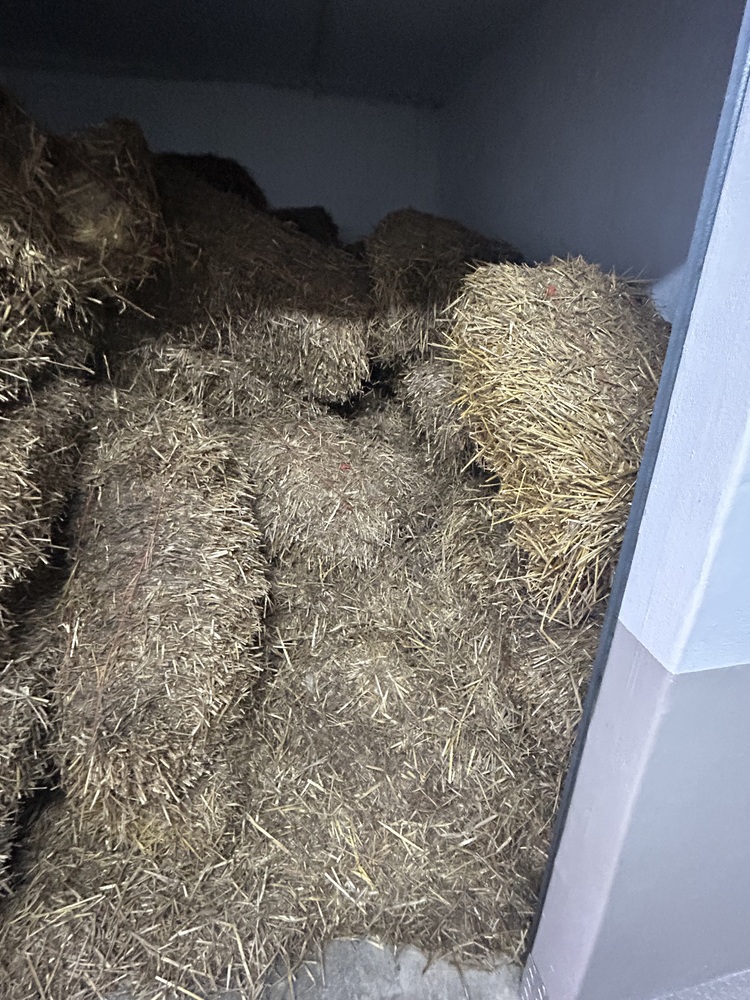 Rent-A-Store Midrand Storage Facility auction IB-6688