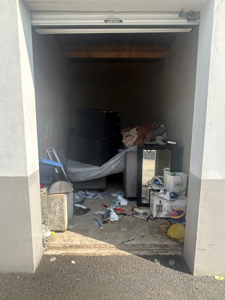 Rent-A-Store Honeydew Storage Unit auction IB-3655 12