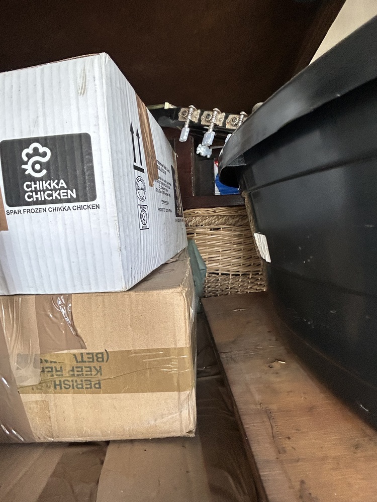 Rent-A-Store Honeydew Storage Unit auction IB-4524 12
