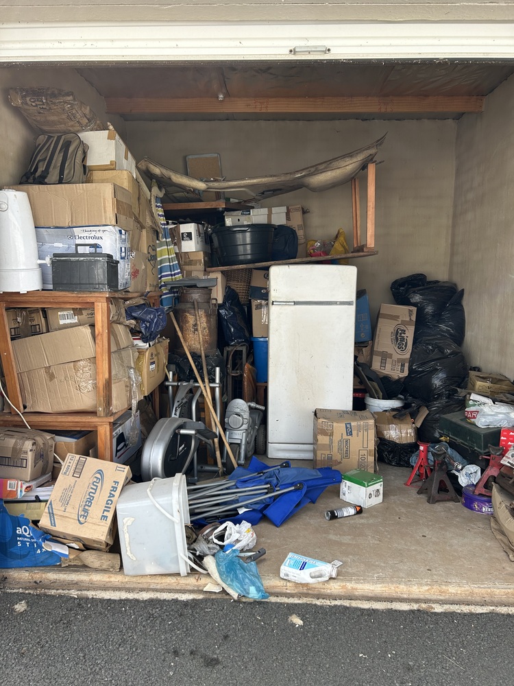 Rent-A-Store Honeydew storage facility unit auction IB-4524 26